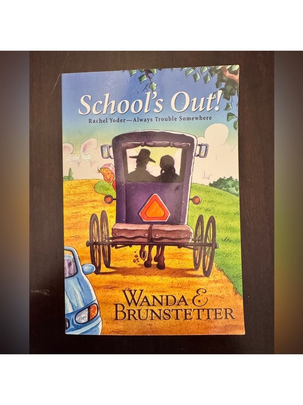 School's Out! Rachel Yoder-Always Trouble Somewhere Paperback Book.